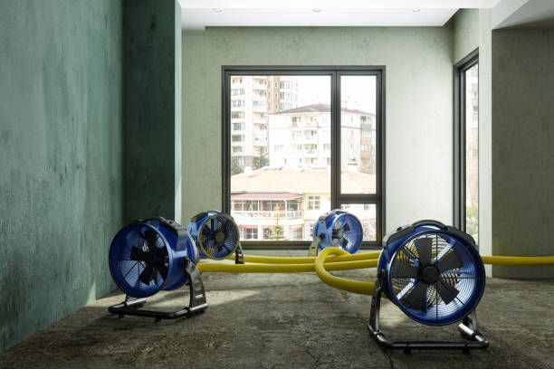 24/7 water damage repair in Garden Grove, FL
